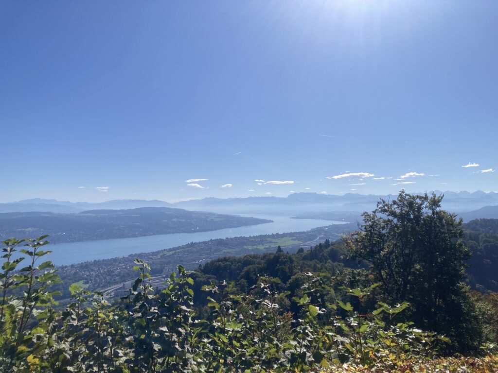 Escort gay Suisse Zürich.